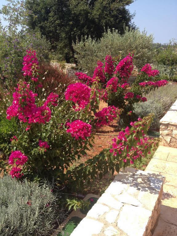 Livathos  Korallis Villas מראה חיצוני תמונה